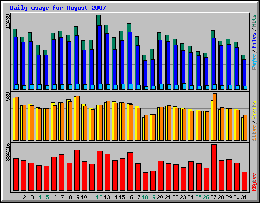 Daily usage for August 2007
